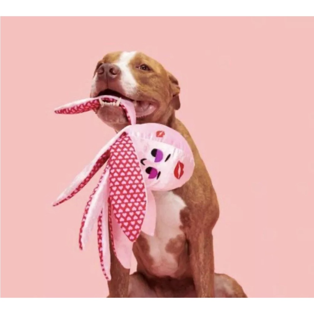Bark Kiss & Tell Ollie dog toy - Picture 3 of 8